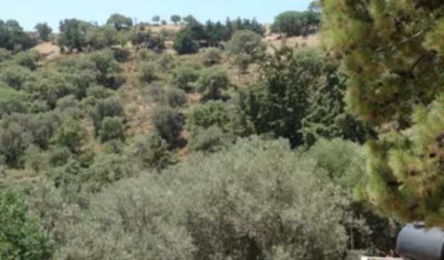 (For Sale) Land Agricultural Land  || Lasithi/Siteia - 248.000 Sq.m, 1.400.000€ 