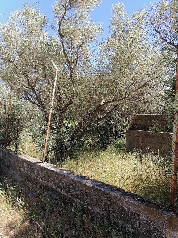 (For Sale) Land Plot || Athens North/Chalandri - 1.625 Sq.m, 1.300.000€ 