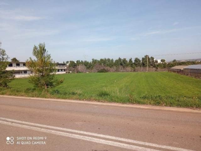 (For Sale) Land Industrial Plot || East Attica/Avlona - 15.500 Sq.m, 800.000€ 