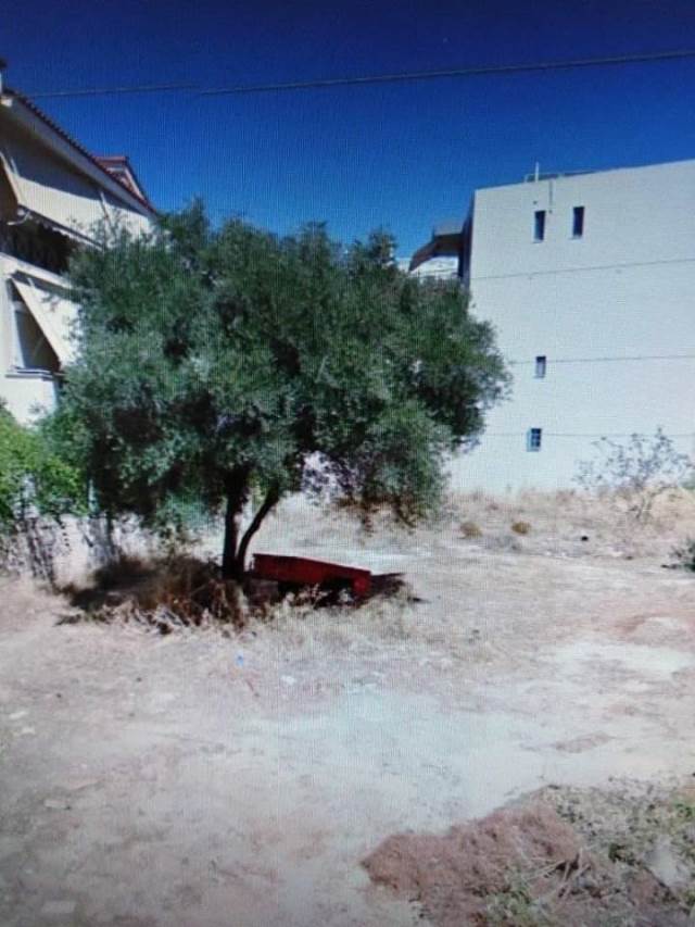 property-img