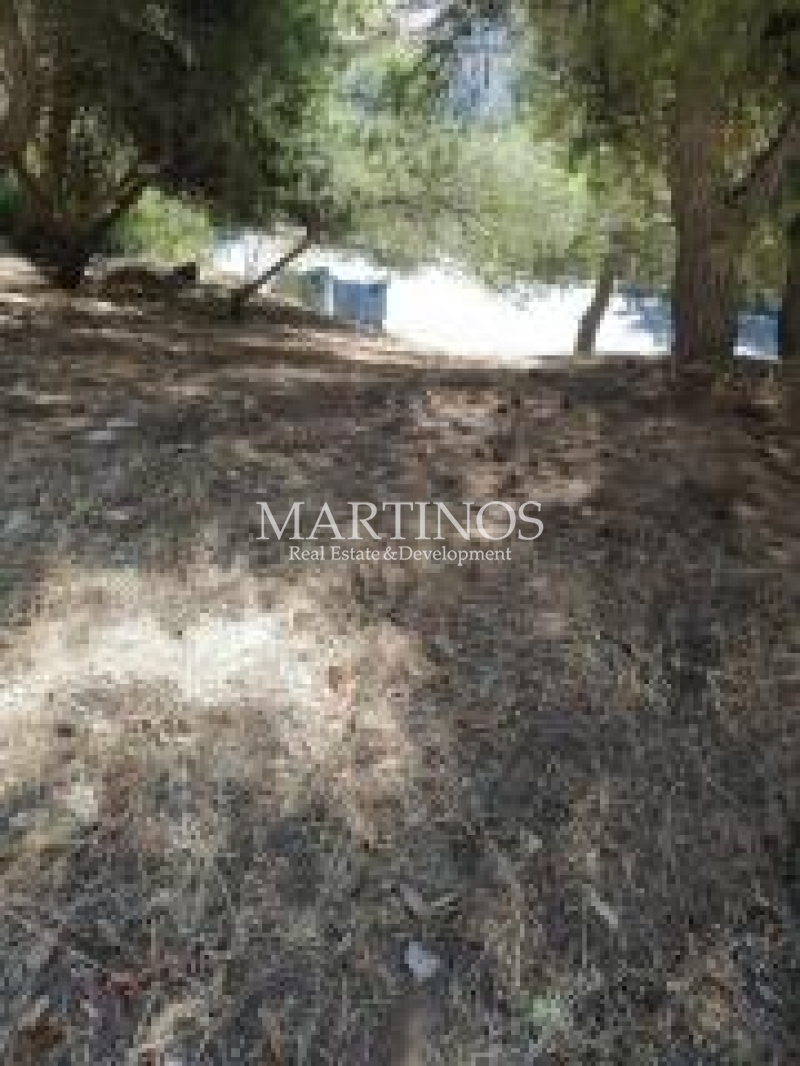 property-img