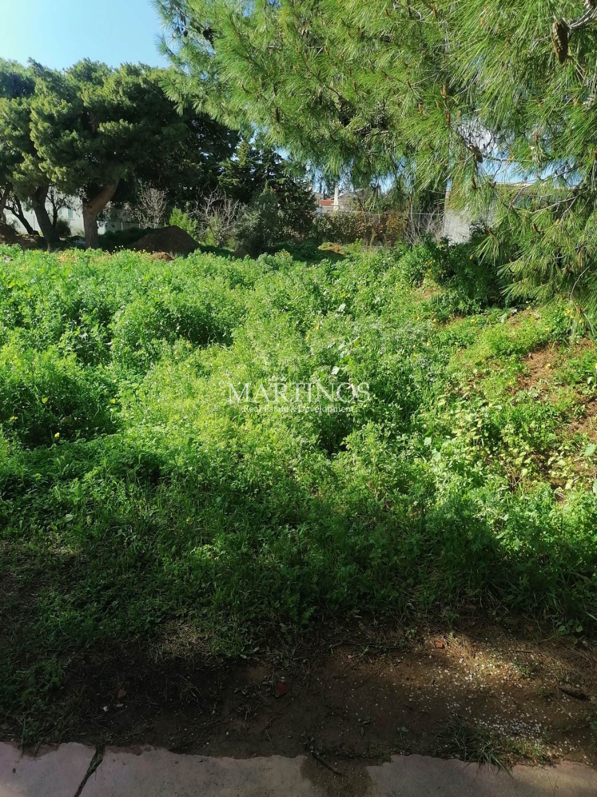 property-img