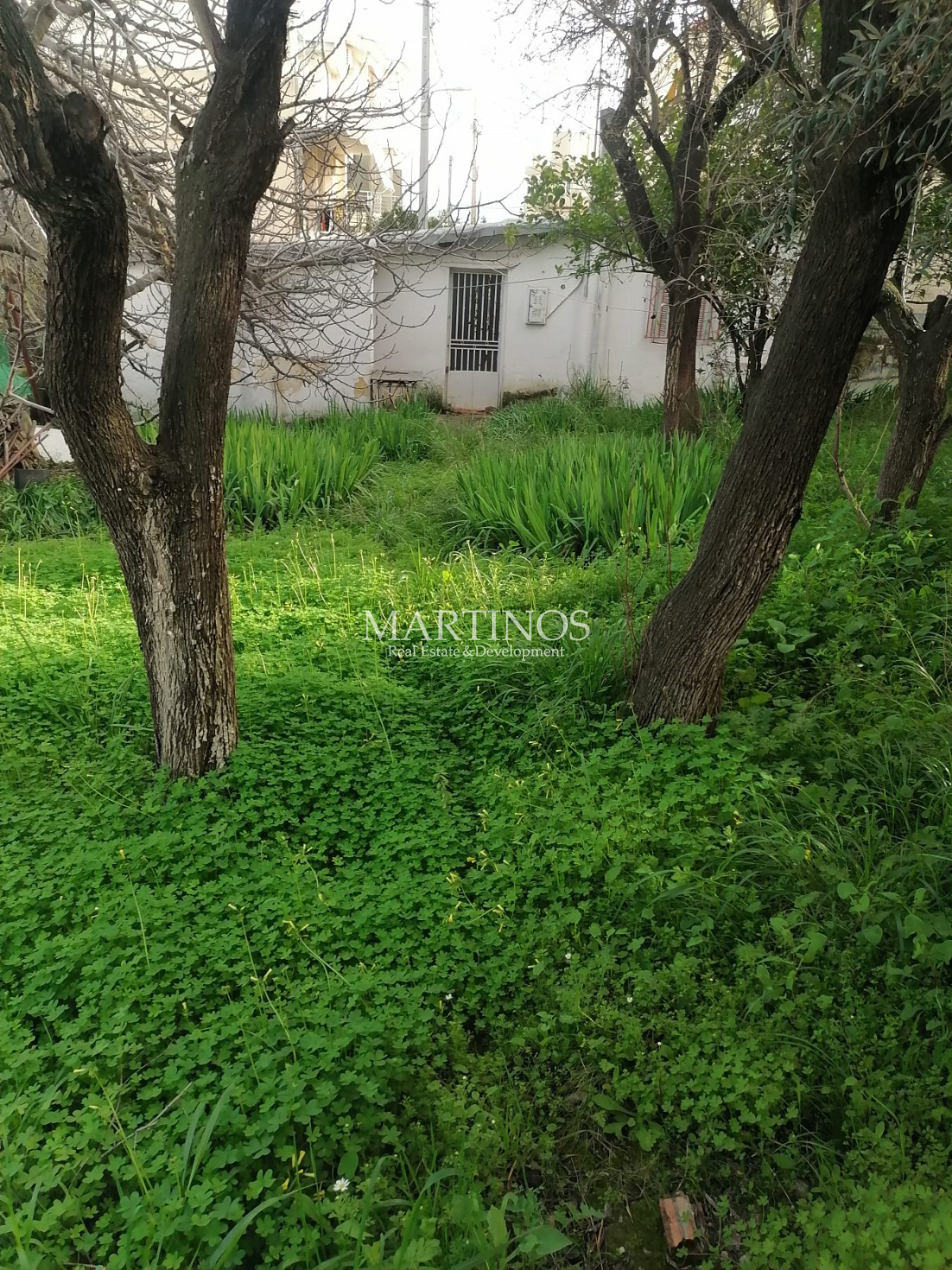 property-img
